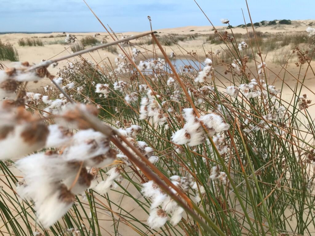 Rocha - Uruguay